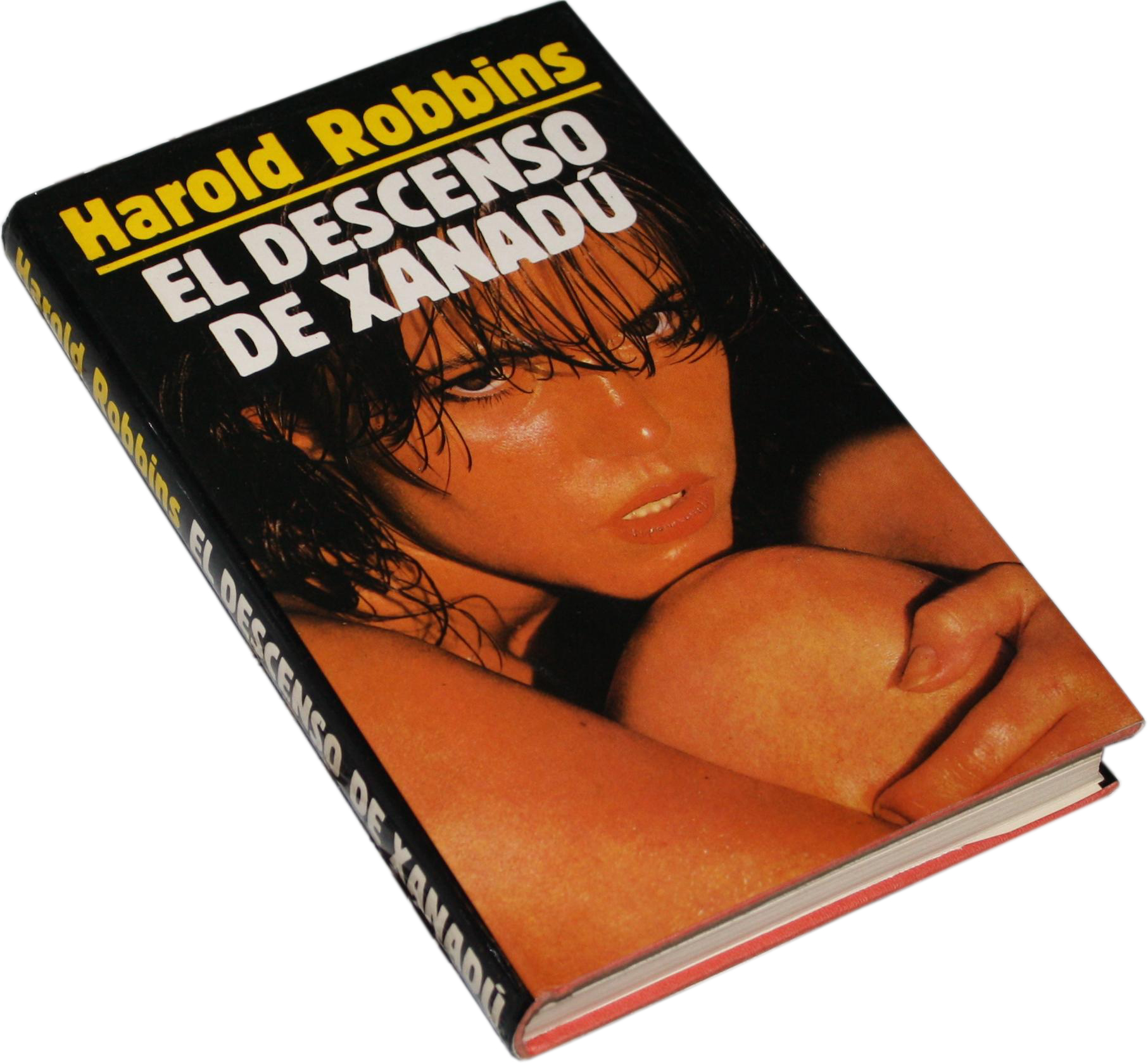 Libro El descenso de Xanad